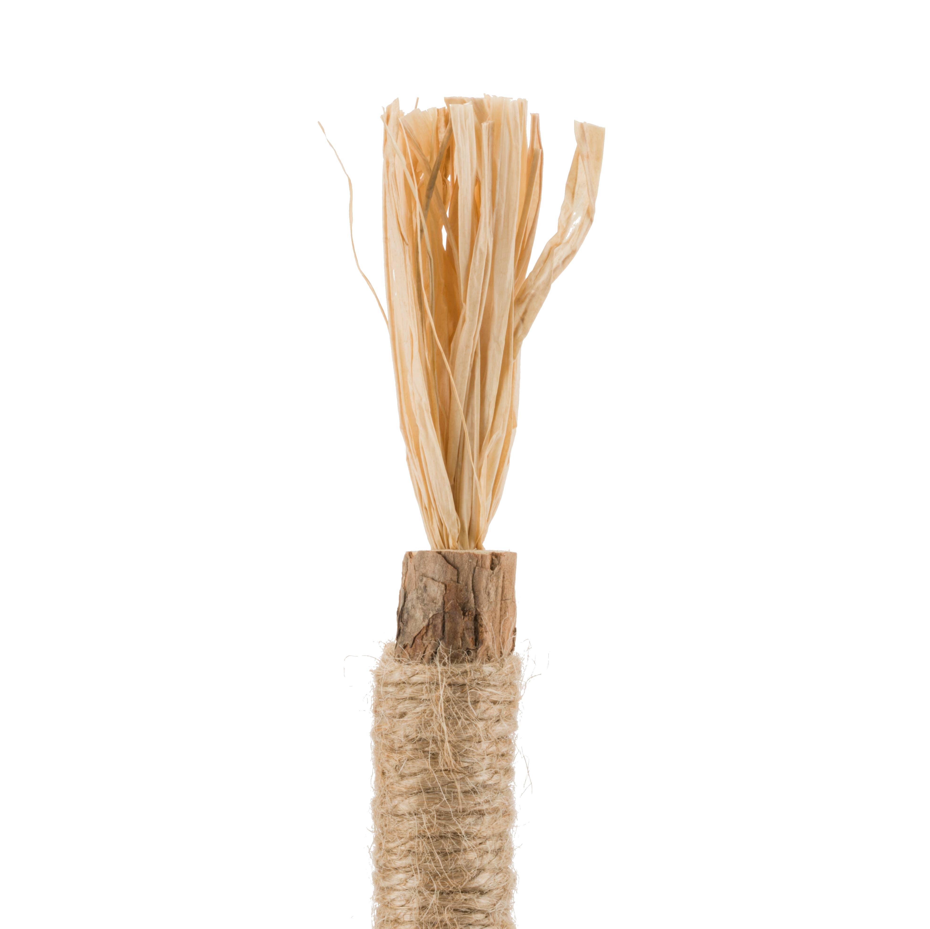 RYERCAT - Wholesale Pet Toy - Cat - Silvervine Cat Dental Sticks - Natural Dental Care (5 Pack)11