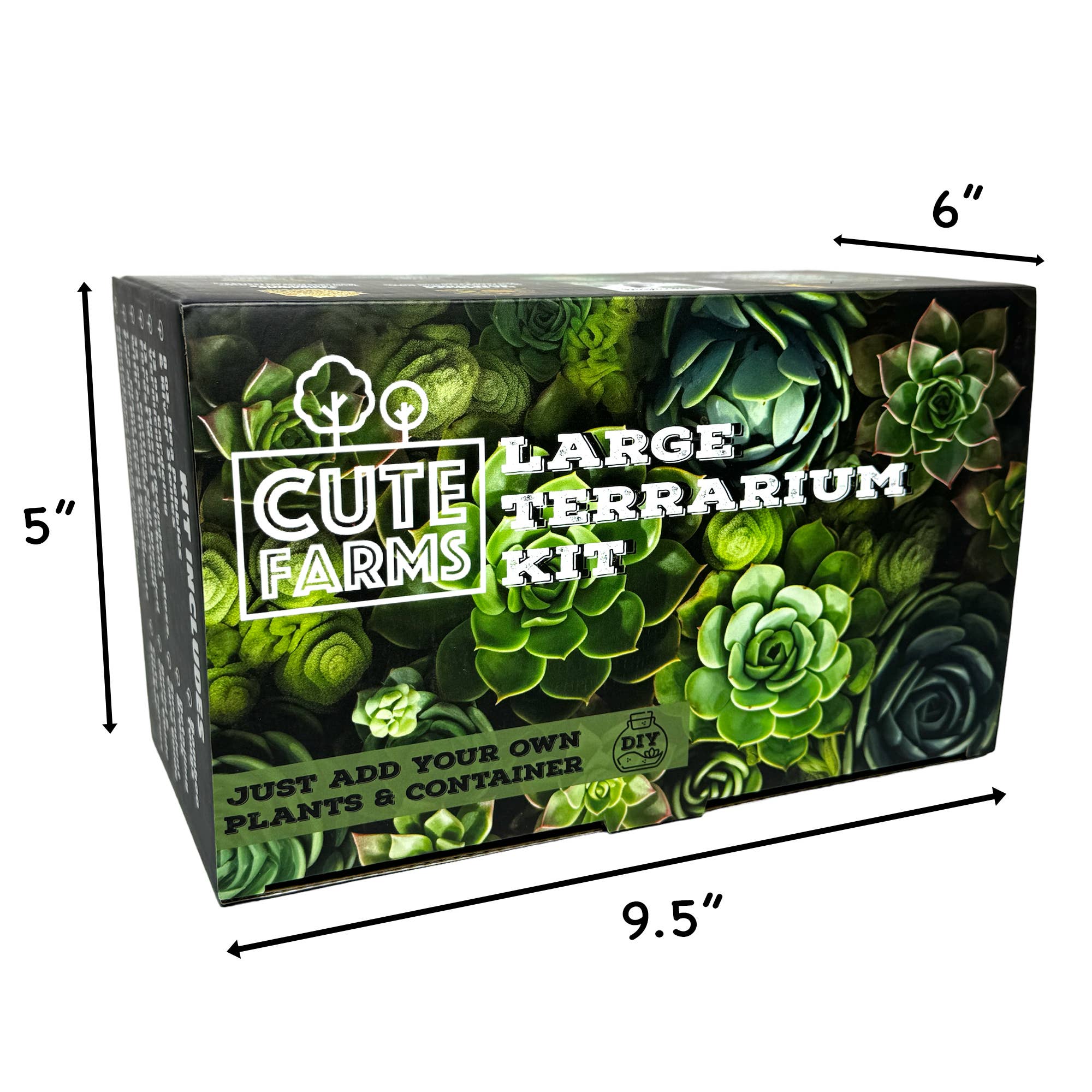 Cute Farms - Wholesale DIY Craft Kit - Large Terrarium Kit7