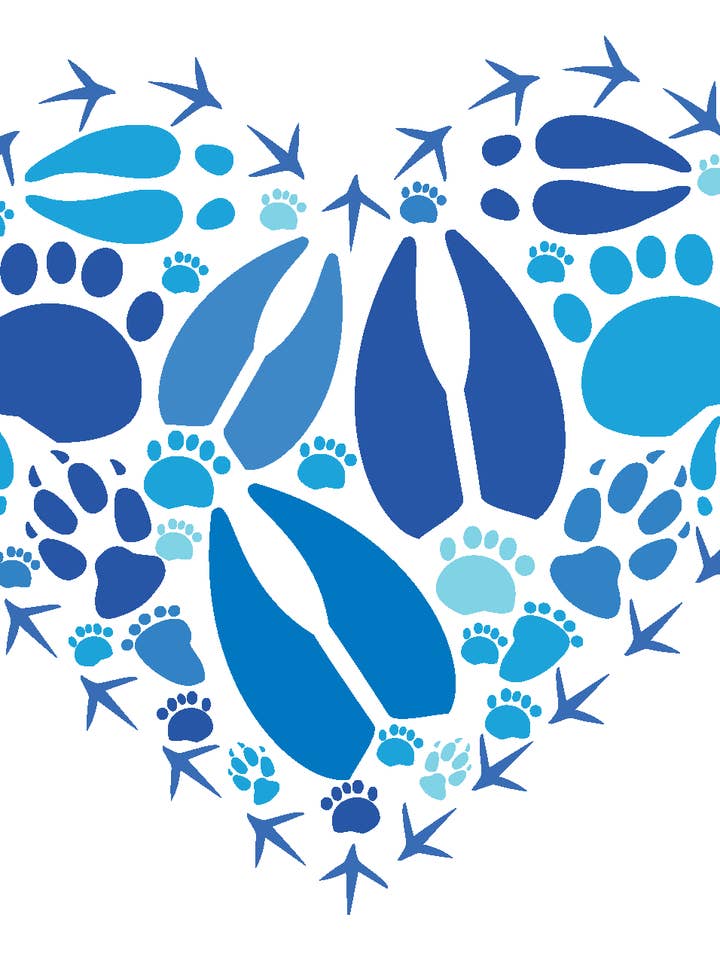 Blue Heart 6 Pack Notes for wholesale by Bold Spark Design & Stationery