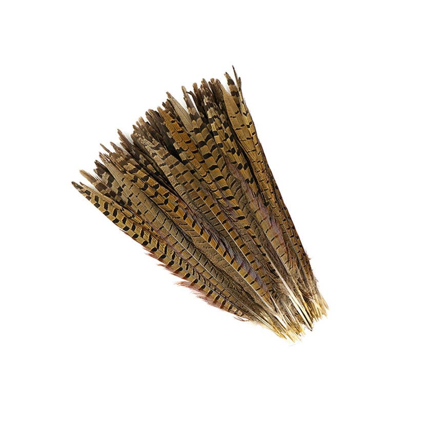 Zucker Feather Products - Wholesale Veren - 10 stuks/PKG Fazantstaarten met ringhals 12-14" - Naturel4