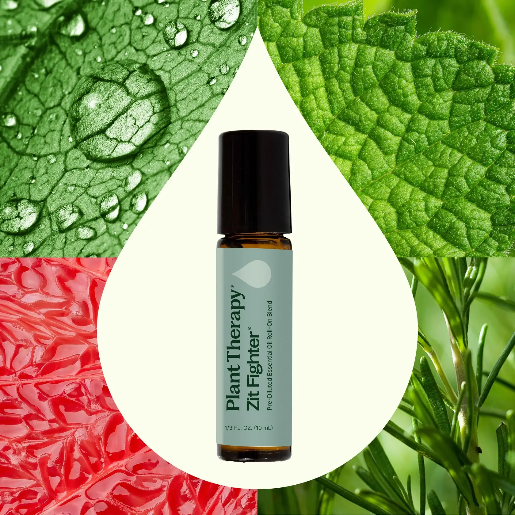 Plant Therapy - Wholesale Essential Oil Roll-On - Zit Fighter Synergy Prediluted Essential Oil Roll-on1