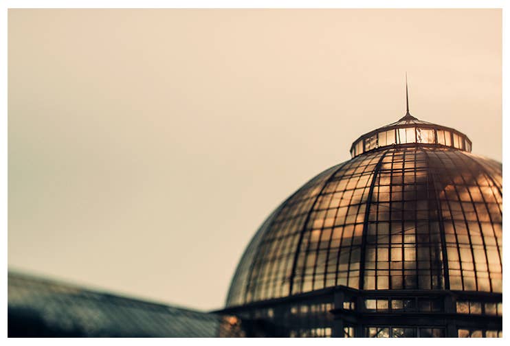 Alicia Bock Print Shop - Wholesale Art Print - Conservatory Sun Art Print1