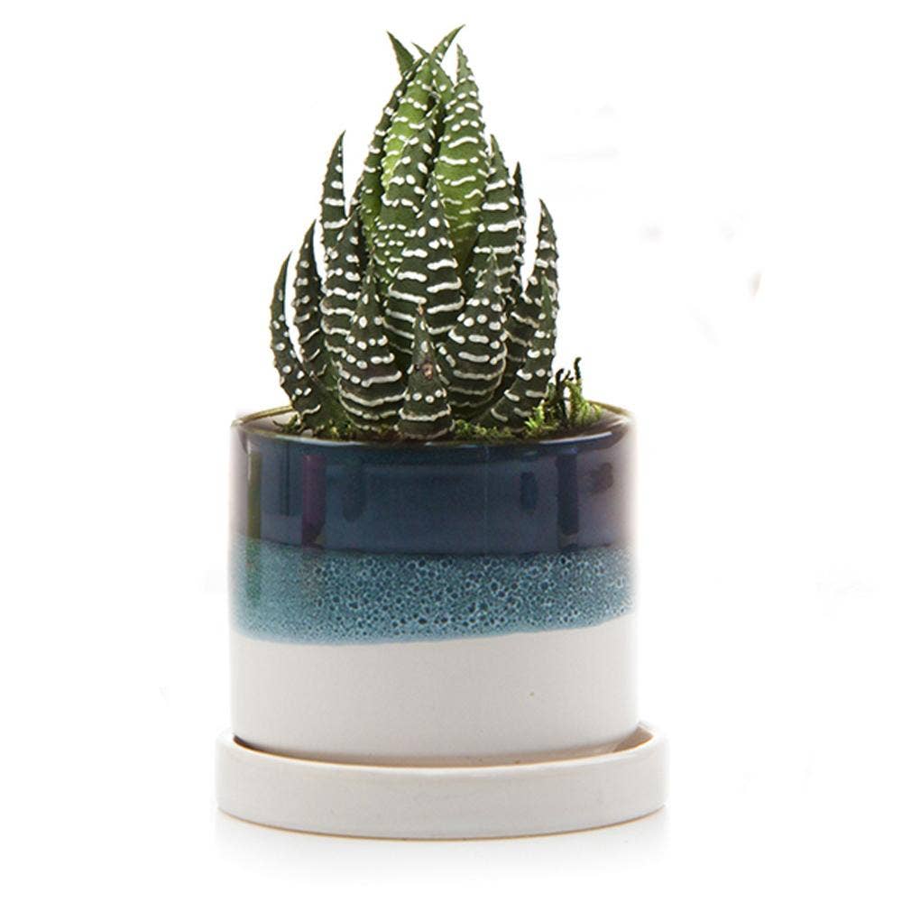 Chive UK - Wholesale Plant Pot - Minute - Glazed Modern Ceramic Pot with Saucer9