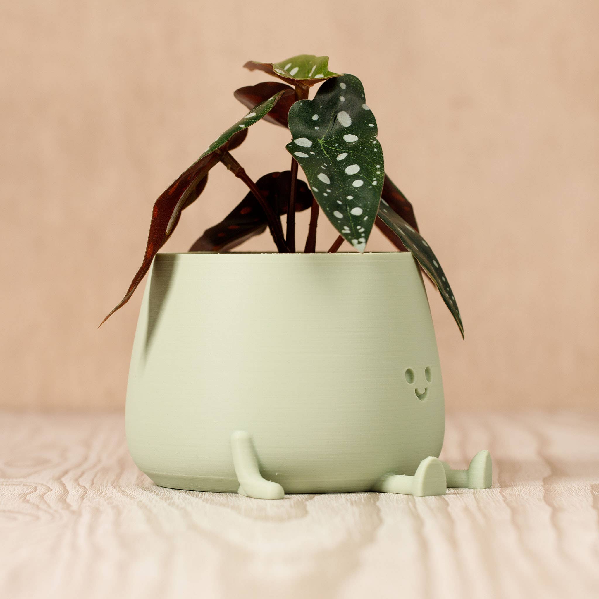 Ingadi – Großhandel Blumentopf – Happy Pot Blumentopf - Salbei2