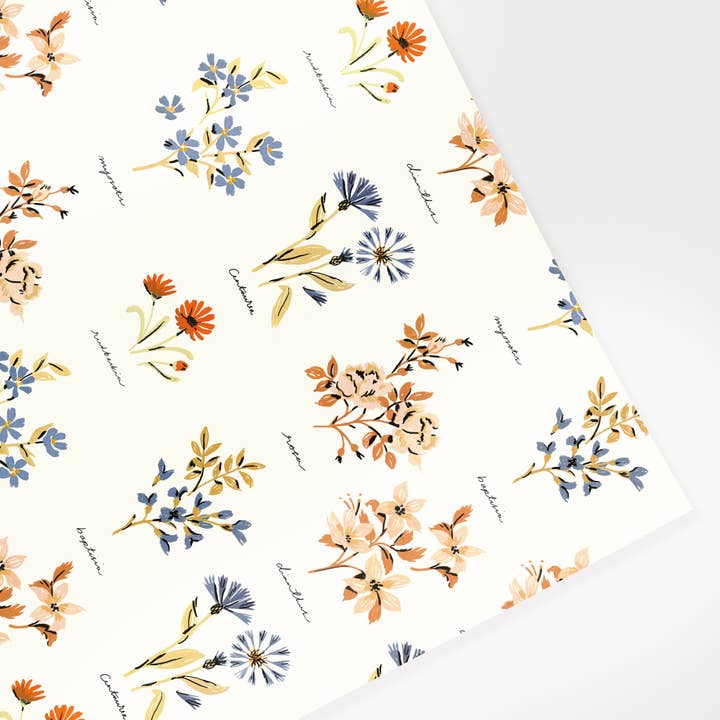 Folha de papel de embrulho botânico Wildflower por atacado de Annie Dornan Smith