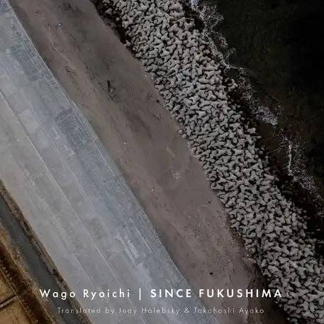 Books by splitShops - Wholesale Book - Adult - Since Fukushima - Paperback