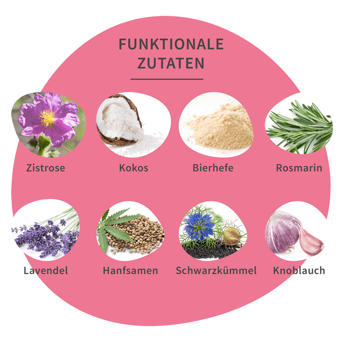 CURAPET - Wholesale Pet Supplement - Dog - CURAPET Cura-Z Powder – seasonal support for dogs2