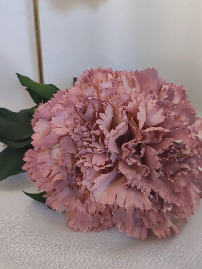 CLAVEL ROSA MAQUILLAJE para venta al por mayor de CAPELLINA