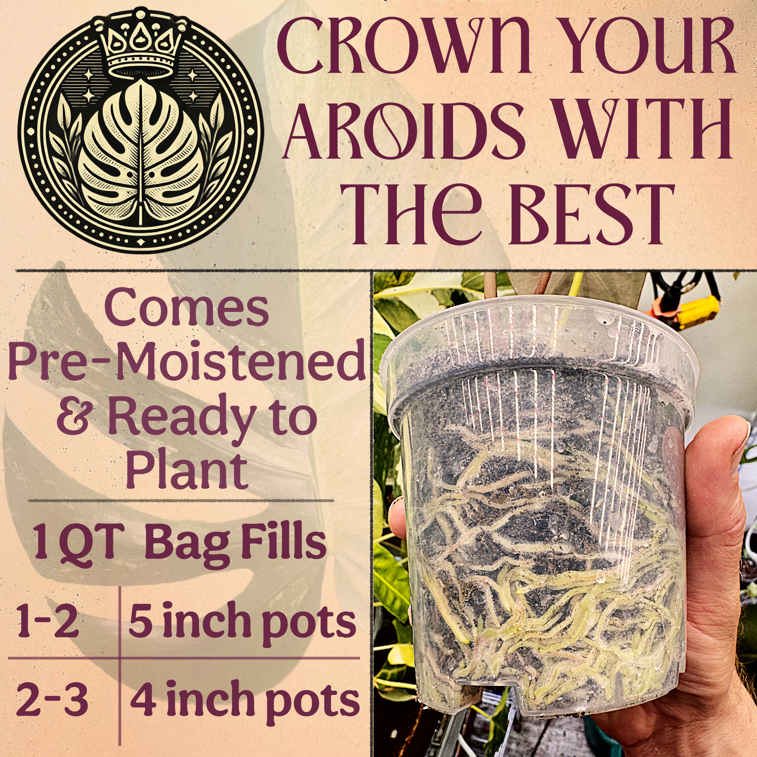 Grow Queen - Wholesale Planting/Potting Soil - Craft Aroid Potting Mix7