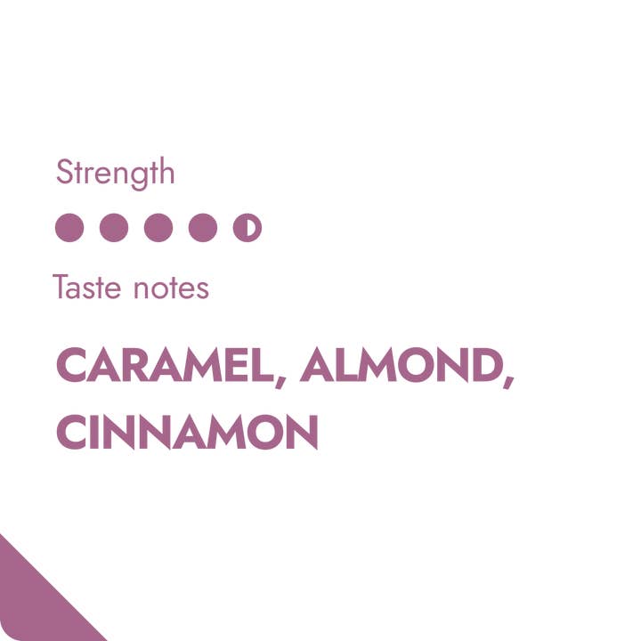 The Brew Company - Wholesale Coffee Beans - MEXICO SPECIALTY COFFEE BEANS2