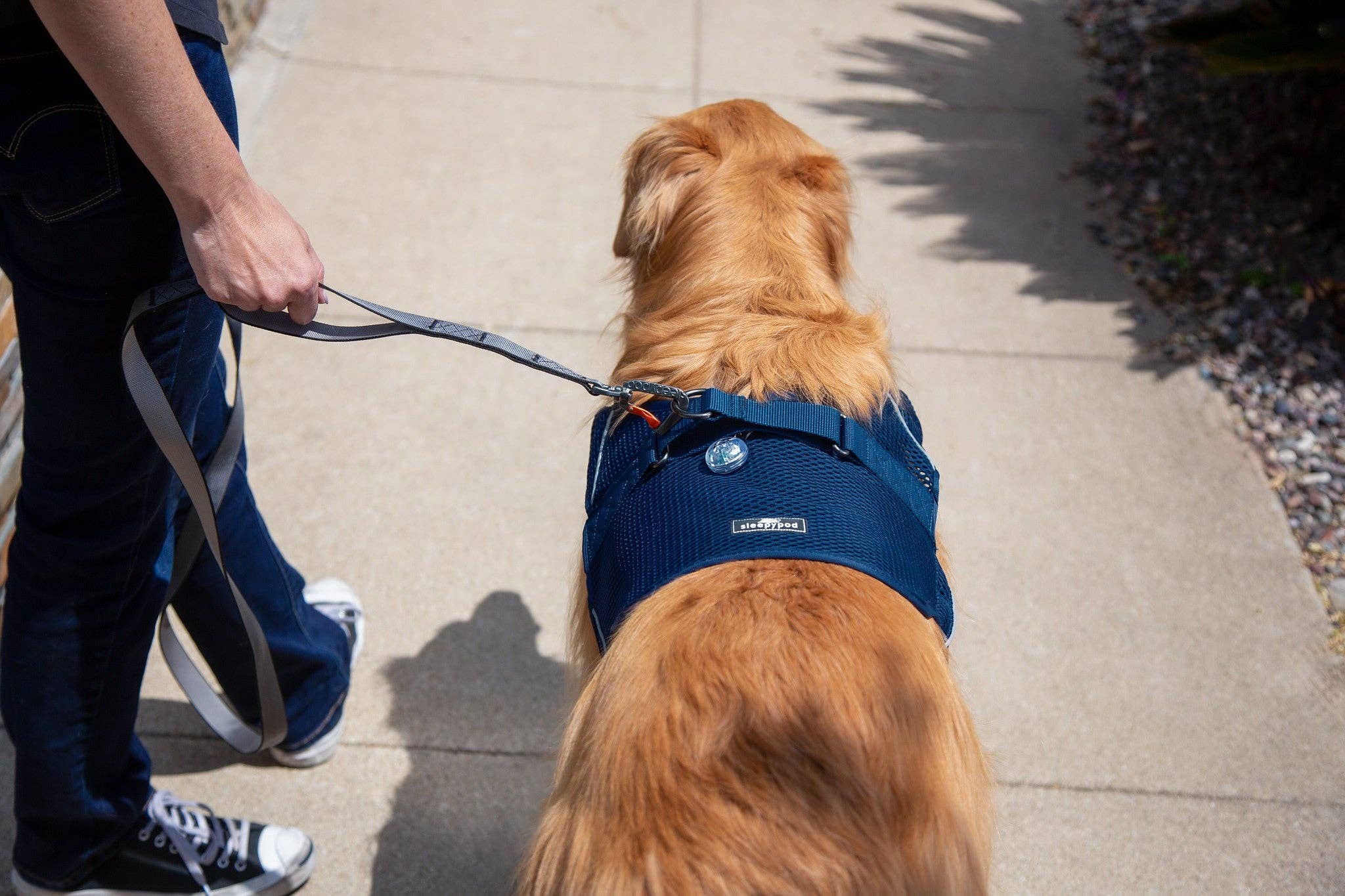 Sleepypod - Wholesale Pet Harness - Dog - Martingale Calming Harness for dogs24
