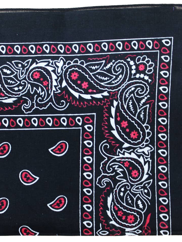 Cotton Bandana Paisley 22" x 22" (Individually Packed) for wholesale by Bandanas Wholesale