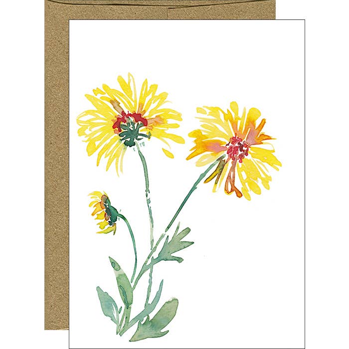 Aquarell Perennial Gaillardia Notizkarten, Schachtel, 6 Stück für den Großhandel von Pink Bathtub Designs