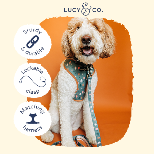 Lucy & Co. – wholesale Pet leash – Dog – Take a Hike Leash4