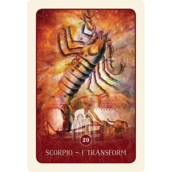 Cardshouse – wholesale Tarot cards – Black Moon Astrology Cards