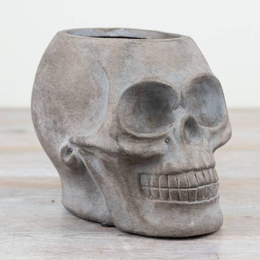 Fioriera Teschio Grigio 18cm per la vendita all'ingrosso da parte di Gainsborough Giftware x Portland Living