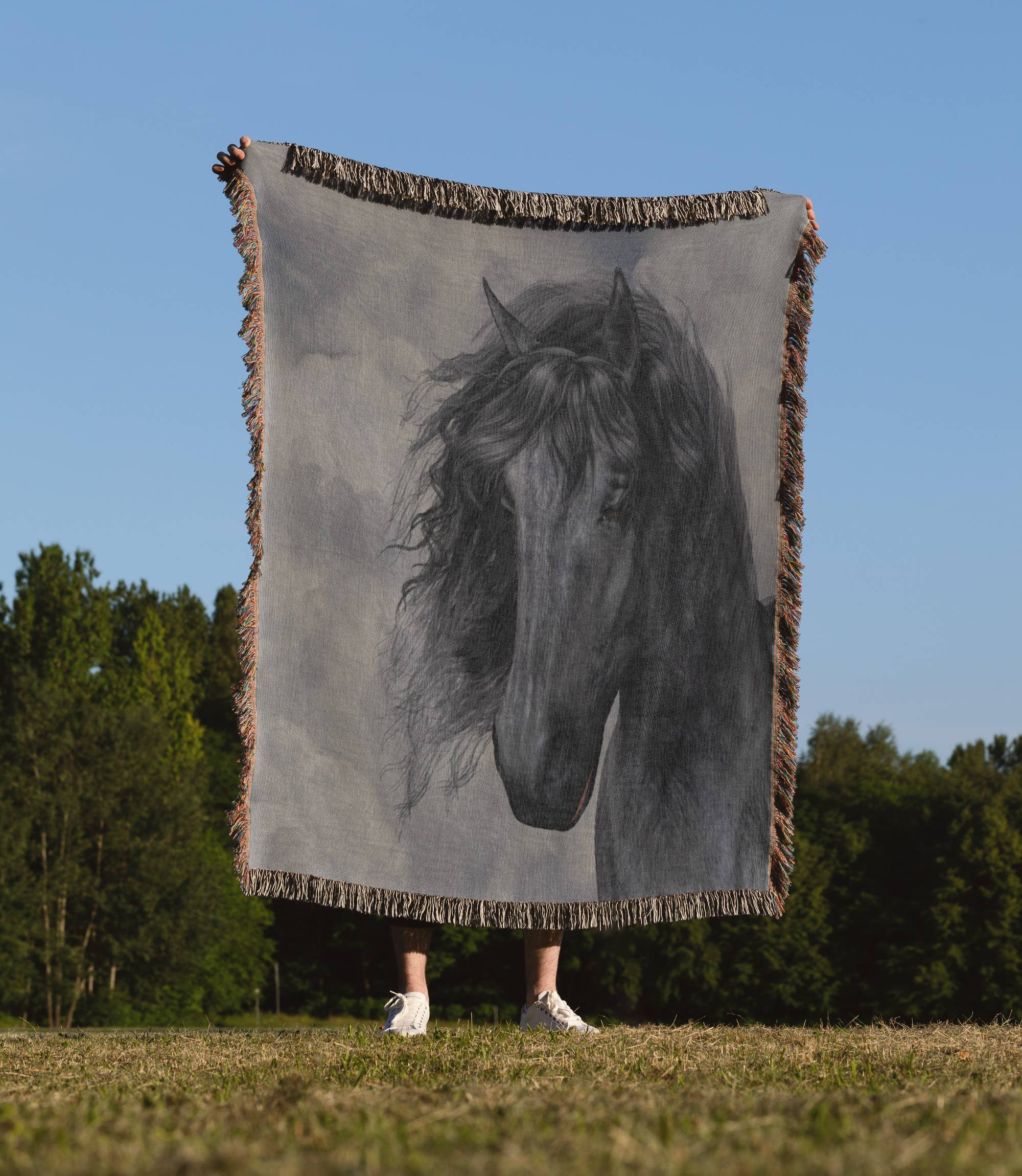 3dRose - Wholesale Throw Blanket - 3dRose, A black Frisian horse portrait in a cloudy sky, Blanket1