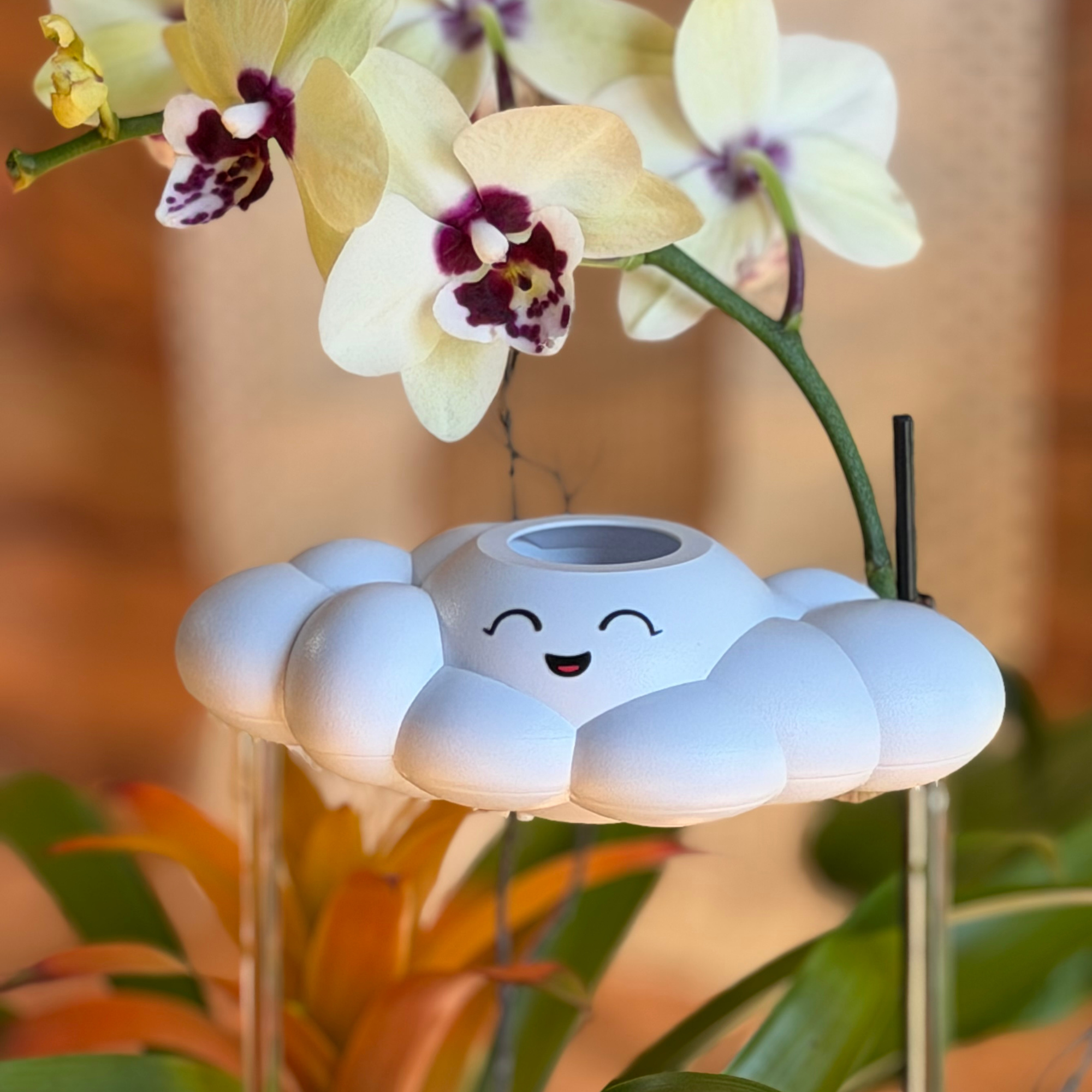 The Cloud Makers - Wholesale Watering Can - Chelsea Series 0011