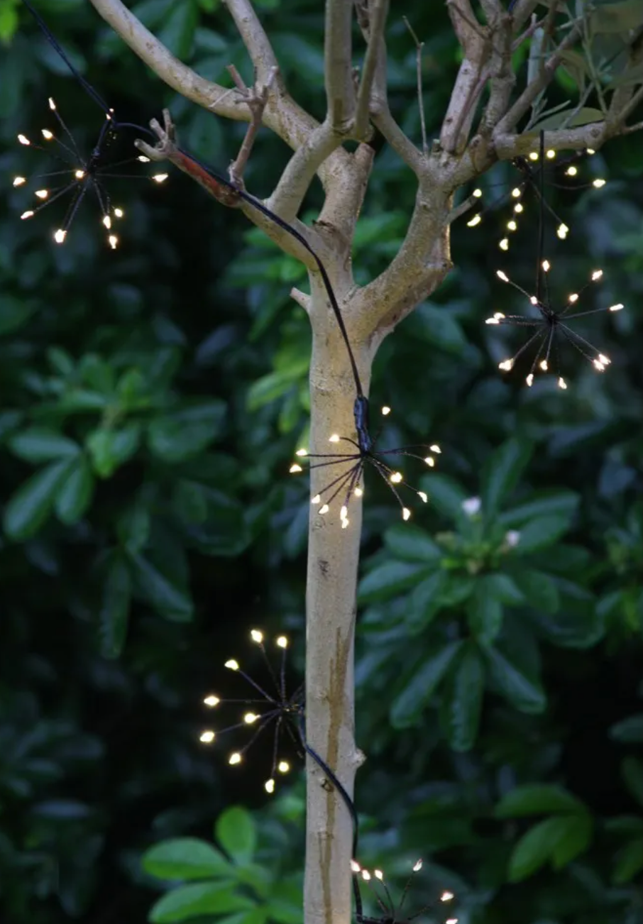 Lumina Of London Co - Wholesale String Lights - Starburst Chain Lights6