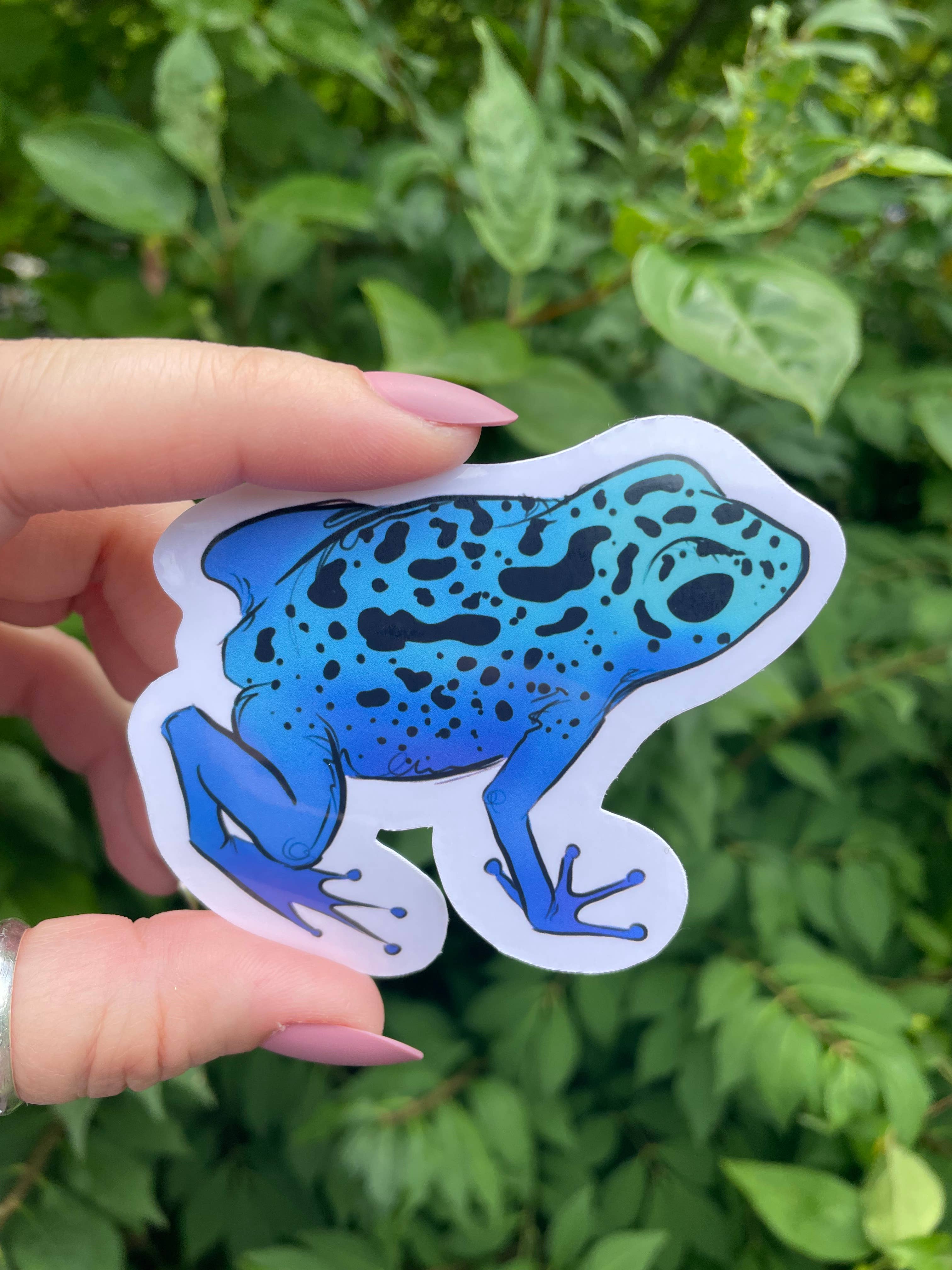 A Dresser Drawer - Wholesale Sticker - Poison Dart Frog Sticker2