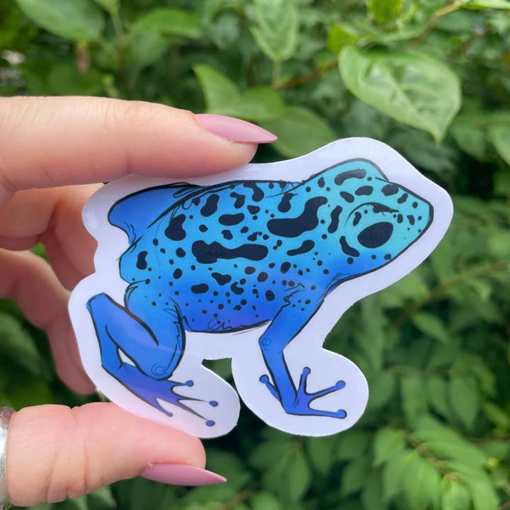 A Dresser Drawer - Wholesale Sticker - Poison Dart Frog Sticker2