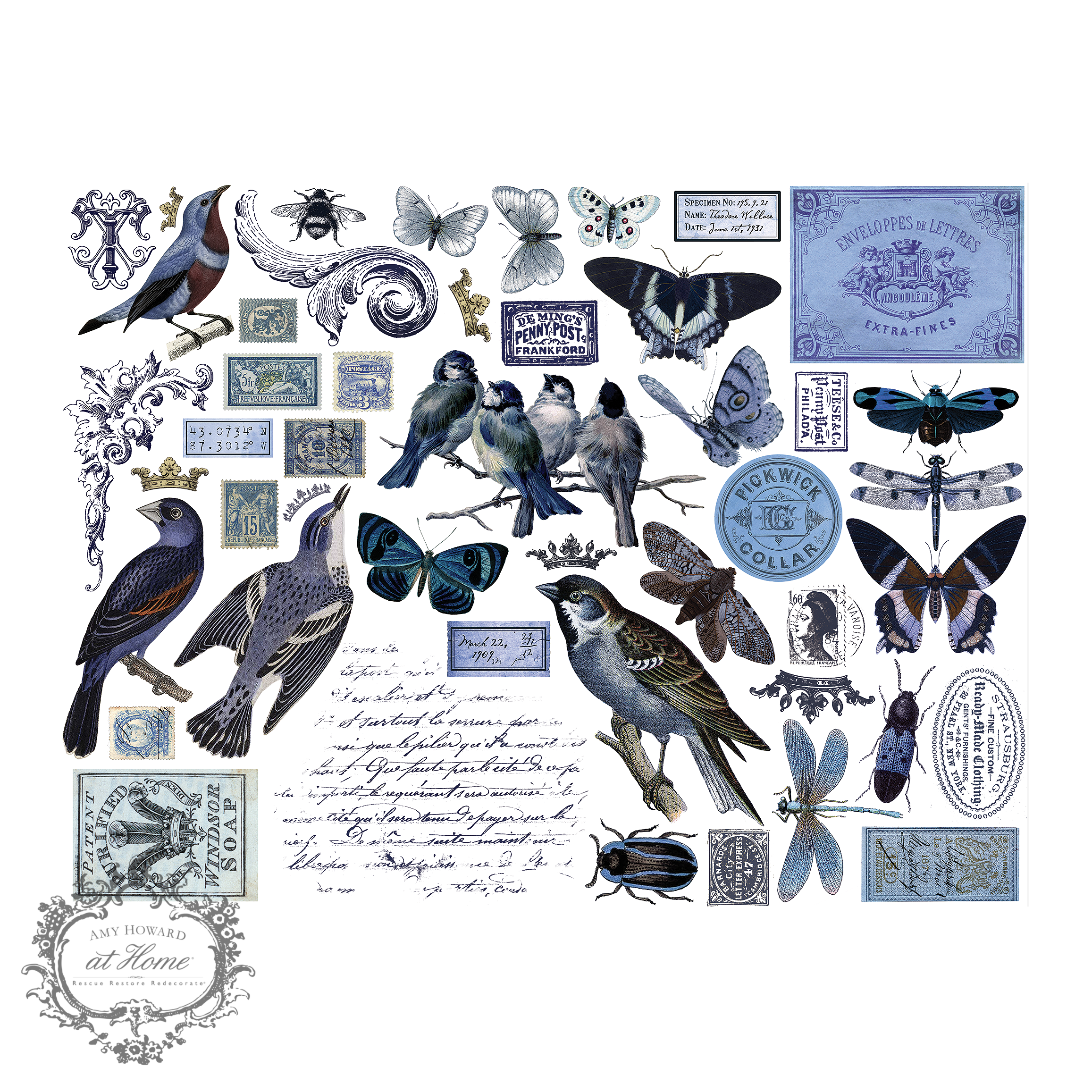 Amy Howard at Home - Wholesale Sublimation Transfer - Blue Bird - Color Transfer 16"x12"0