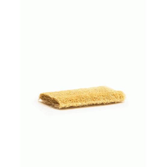 Brush With Bamboo - Wholesale Loofah - Compostable Loofah Scrubber - Pack of 6