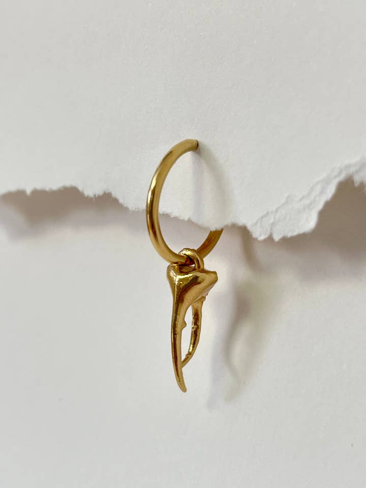 Hercules beetle S (unit) for wholesale by SOLOATAME