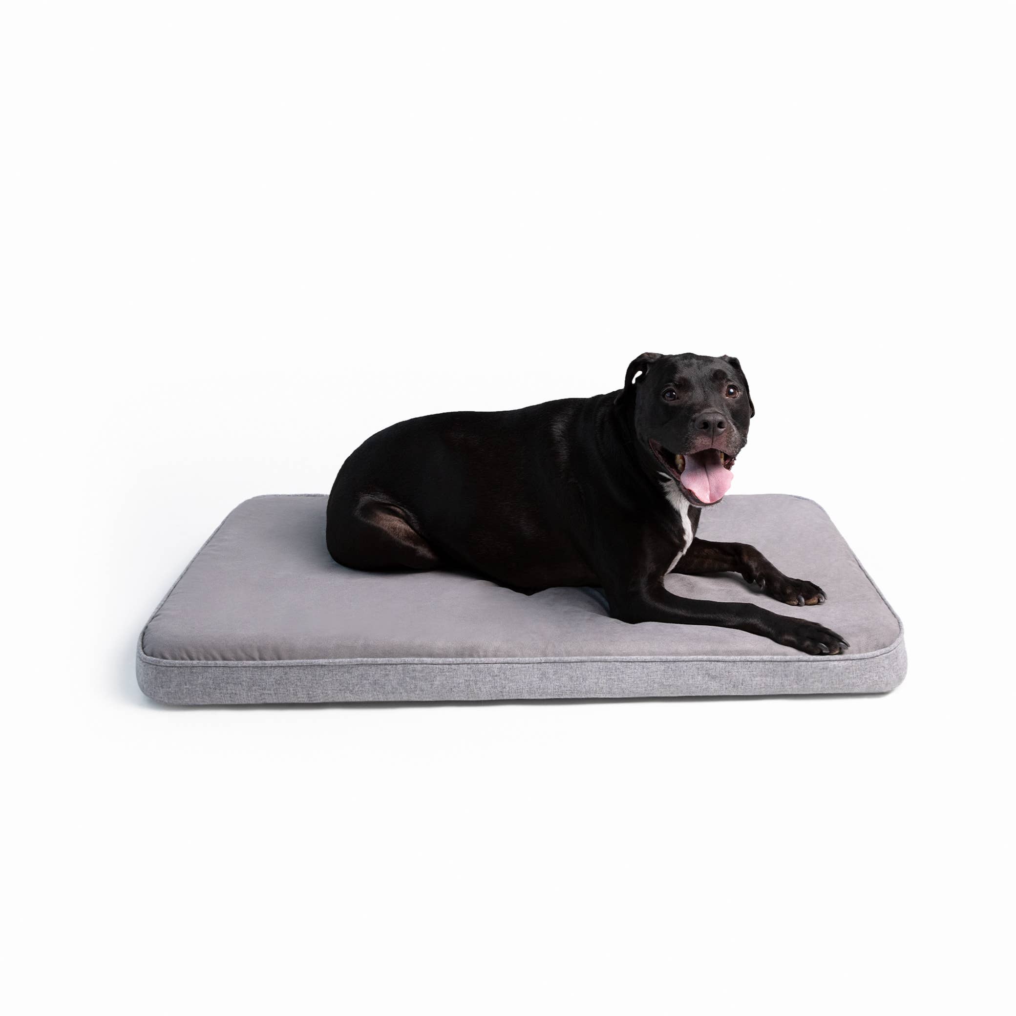 Diggs - Wholesale Pet Bed - Dog - Snooz Dog Crate Pad [Revol]4