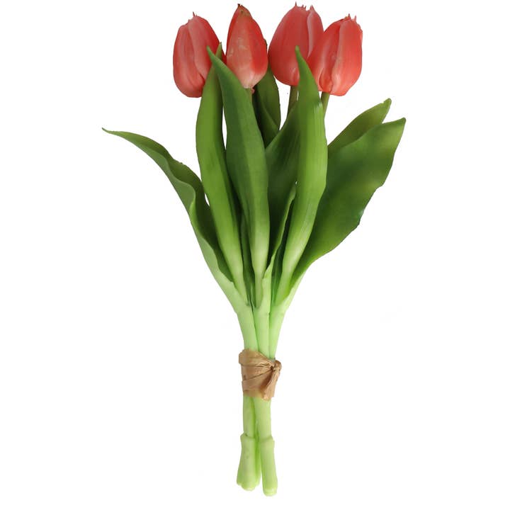 Motte de tulipes Camilla, 3 fleurs, 2 boutons, longueur 30 cm, corail pour la vente par Vosteen