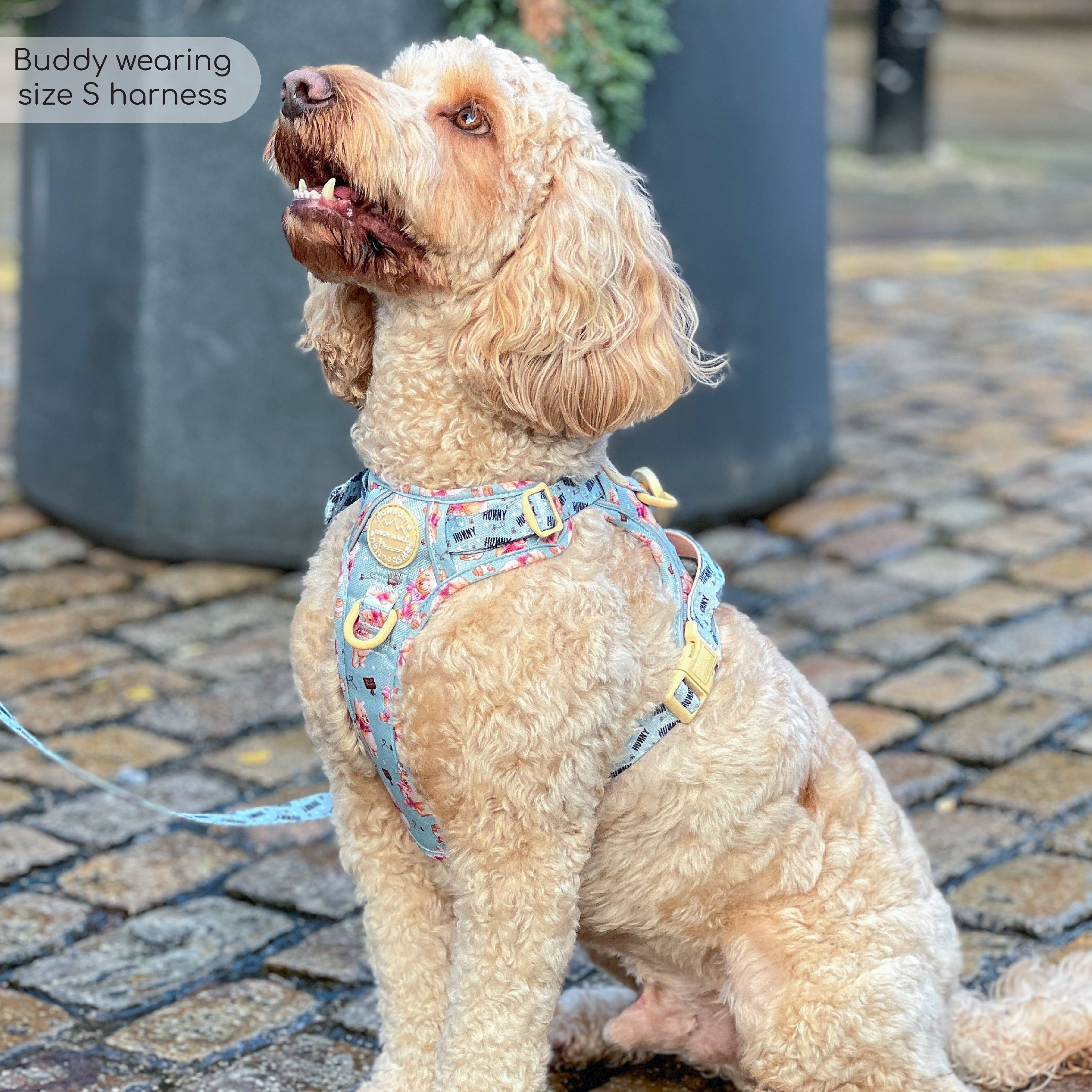 Pawsome Paws – Großhandel Haustiergeschirr – Hund – Disney© Tough Trails™ Geschirr – Winnie Puuh19