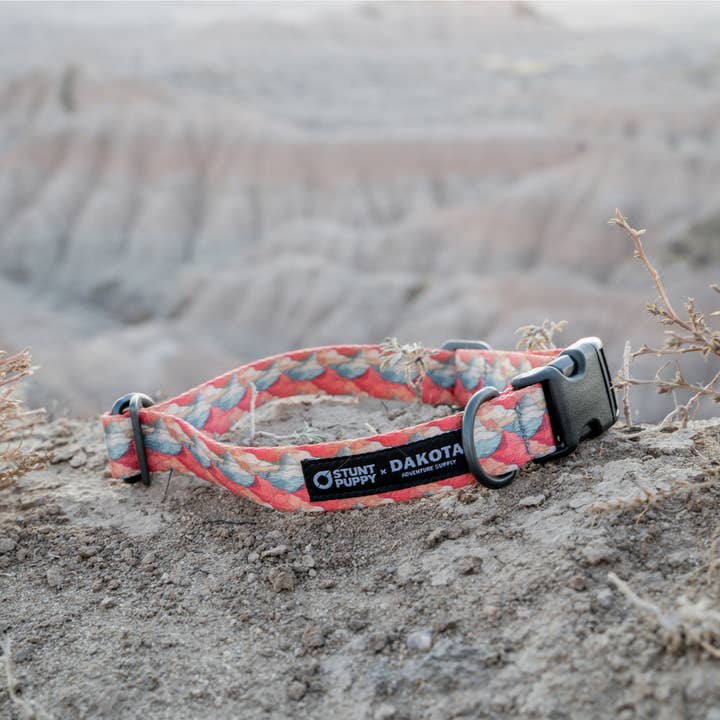 Stunt Puppy x DAS Collier Badlands Everyday pour la vente par Dakota Adventure Supply