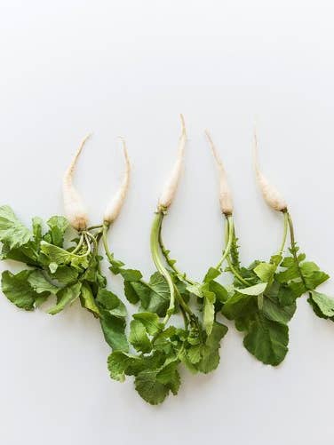 'Gourmet' Fine Art Photography Print for wholesale by White Hill Home