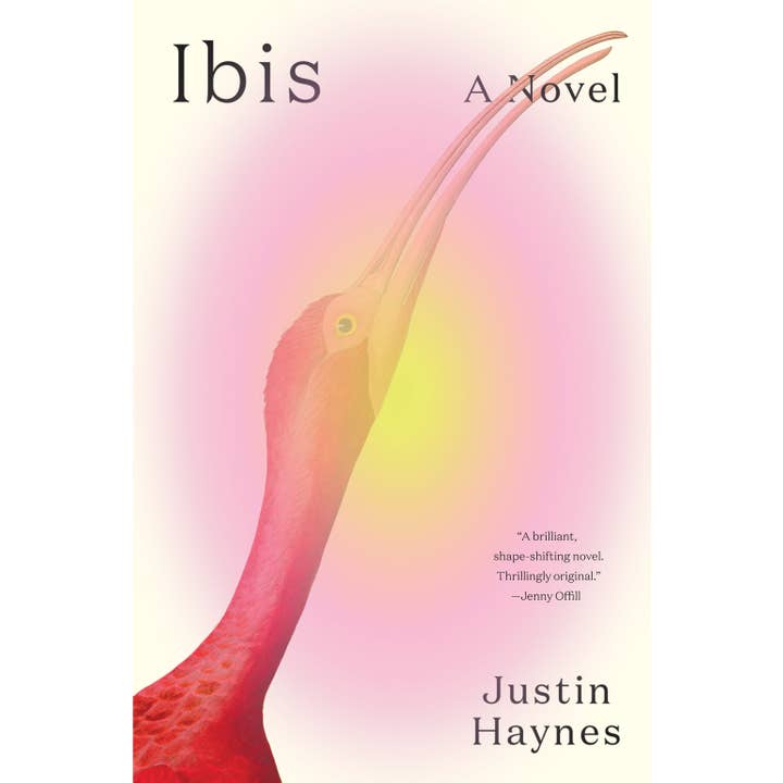 Abrams - Wholesale Contemporary & Literary Fiction - Ibis: A Novel