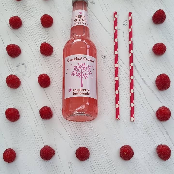 Breckland Orchard – wholesale Fruit juice – ZERO Sugar Raspberry Lemonade Posh Pop 12 x 275ml4
