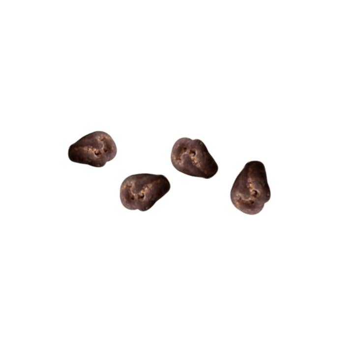 nud fud Inc. - Wholesale Chocolate Covered Sweets - Chocolate Covered Raisins2