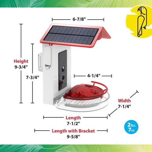 Caitec Inc - Wholesale Bird Feeder - Smart AI Hummingbird Feeder Featherland Paradise1