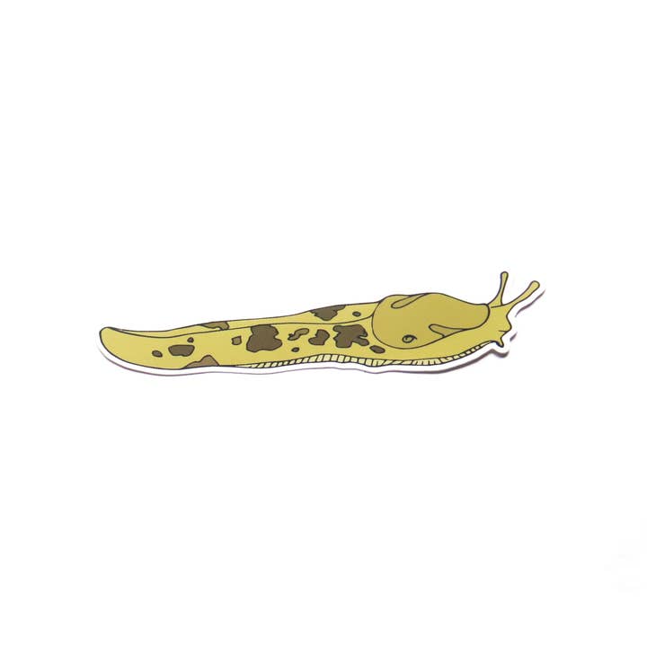 Large Slug Sticker for wholesale by Wild Life Illustration Co.