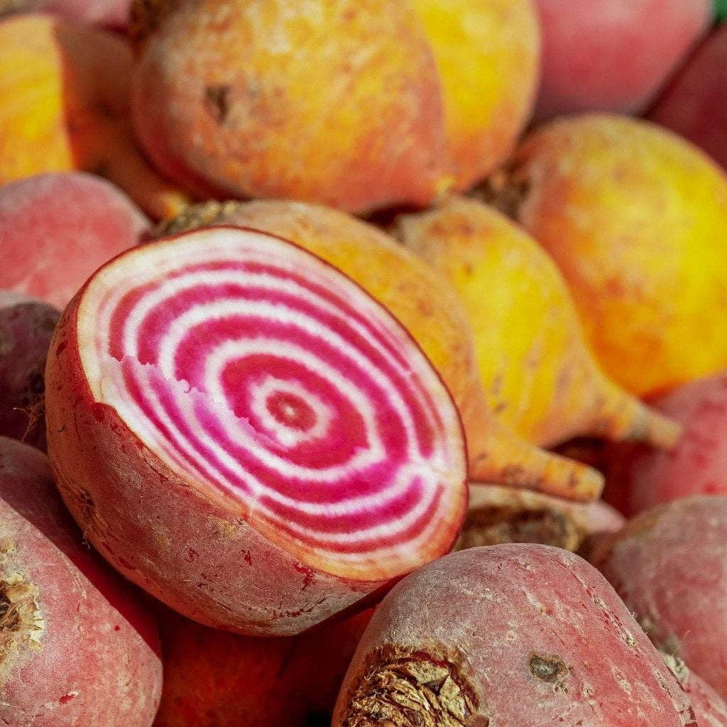 Sow True Seed - Wholesale Plant Seeds - Beet Seeds - Chioggia3