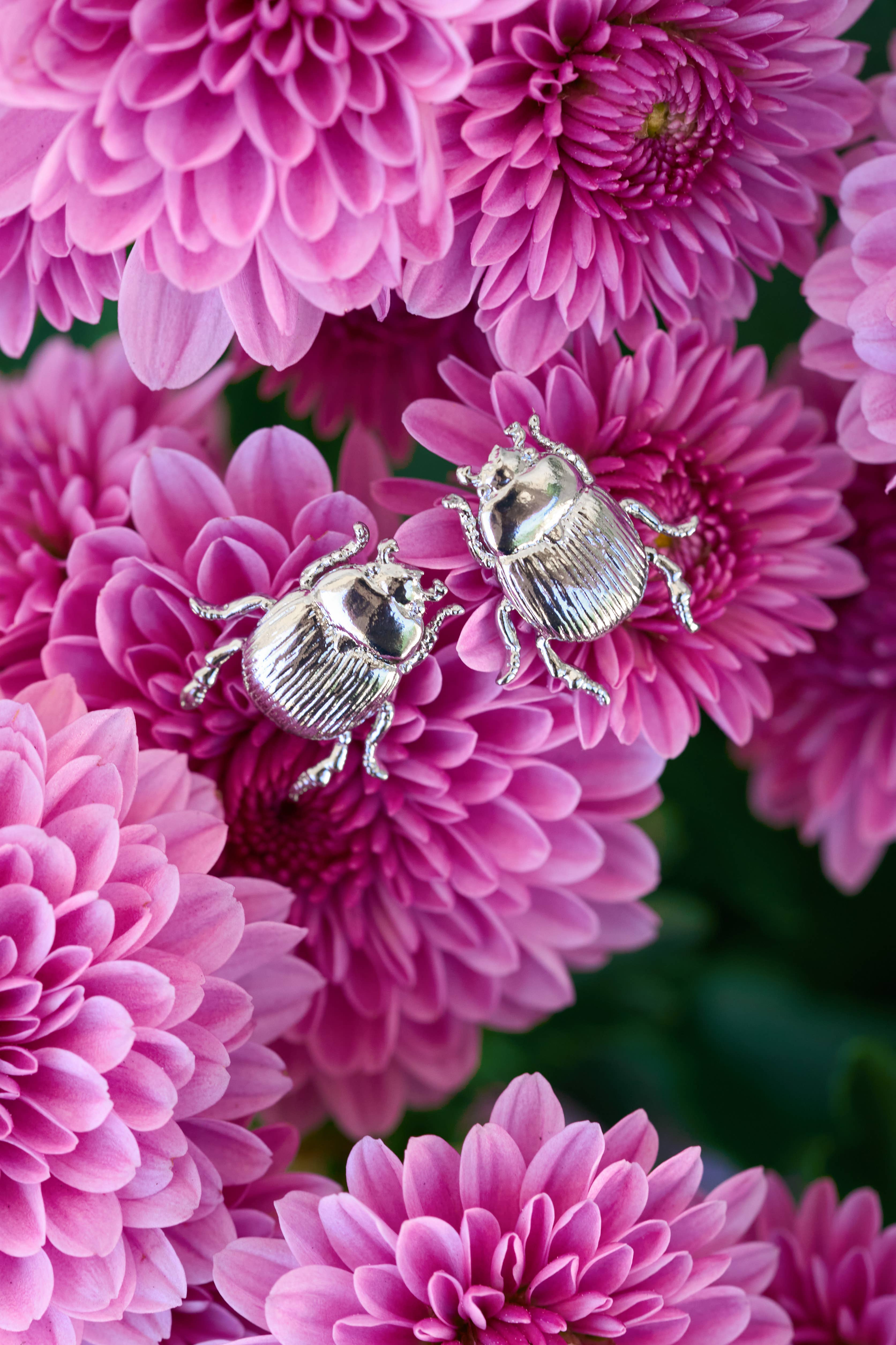 Peter and June - Wholesale Stud/Post Earrings - Fortune Beetle Studs -18K Gold Plated or Silver Rhodium3