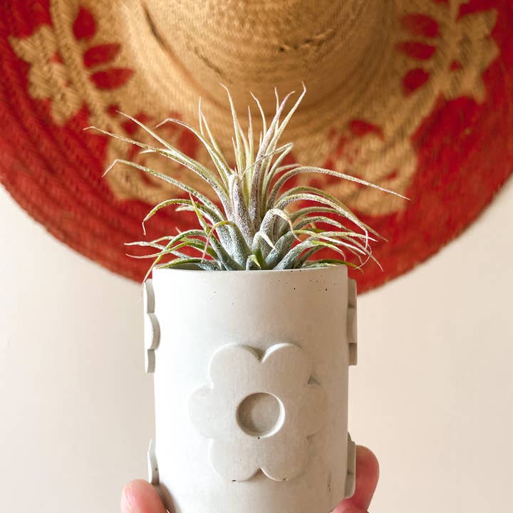 Mini Daisy Planter and other Purchase Wholesale mini flower pots. Free Returns & Net 60 Terms on Faire trending on Faire.