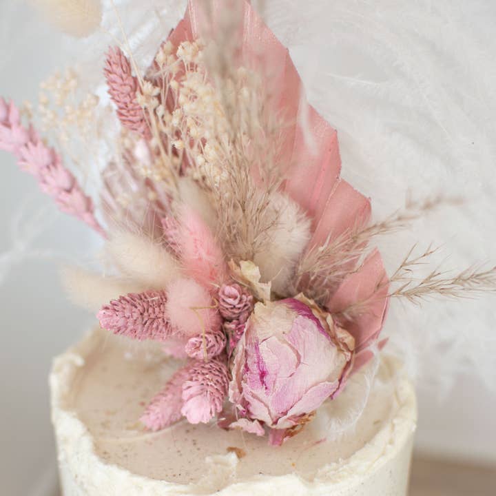 Paquete Dreamy Pinks Bakers para venta al por mayor de pampas studio uk