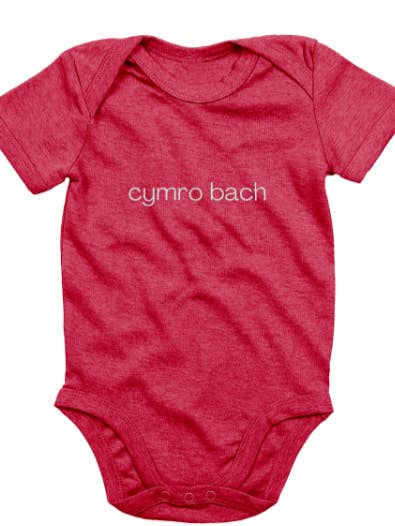 Embroidered 'Cymro / Cymraes' babygrow for wholesale by Don't Sweat it Betty