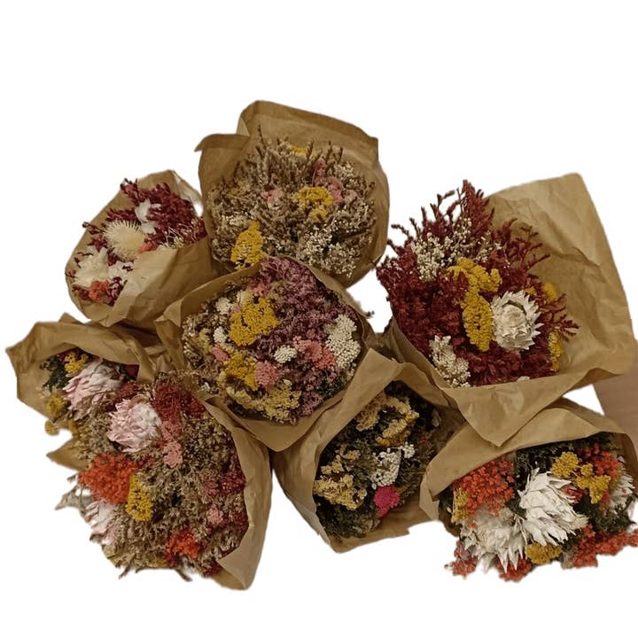 Concari.flores Preservadas – Großhandel Getrocknete/gepresste Blumen – KONSERVIERTER STRAUSS