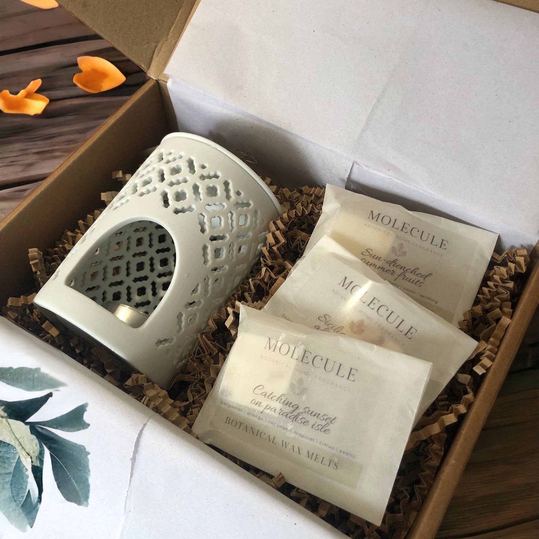 Molecule Home Fragrance - Wholesale Wax Melt - Wax Melt Starter Gift Set0