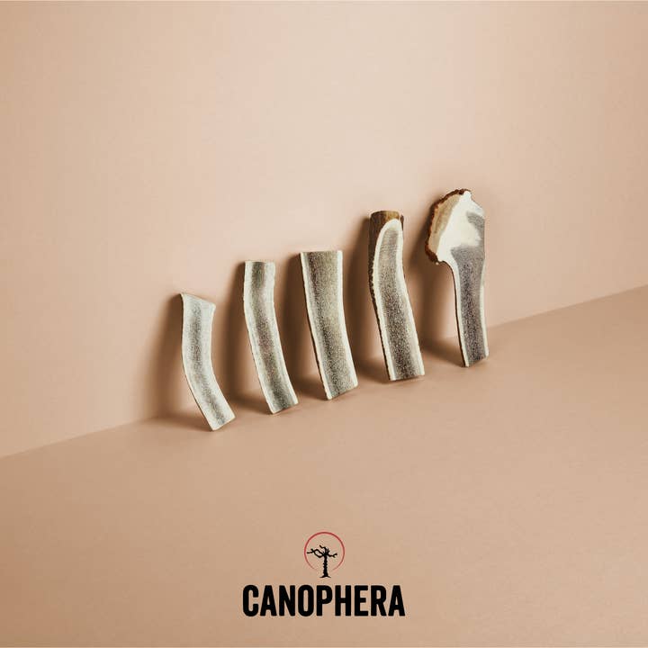 CANOPHERA GmbH - Wholesale Pet Chew Toy - Dog - Dog Chew Made Of Red Deer Antler Splits.5