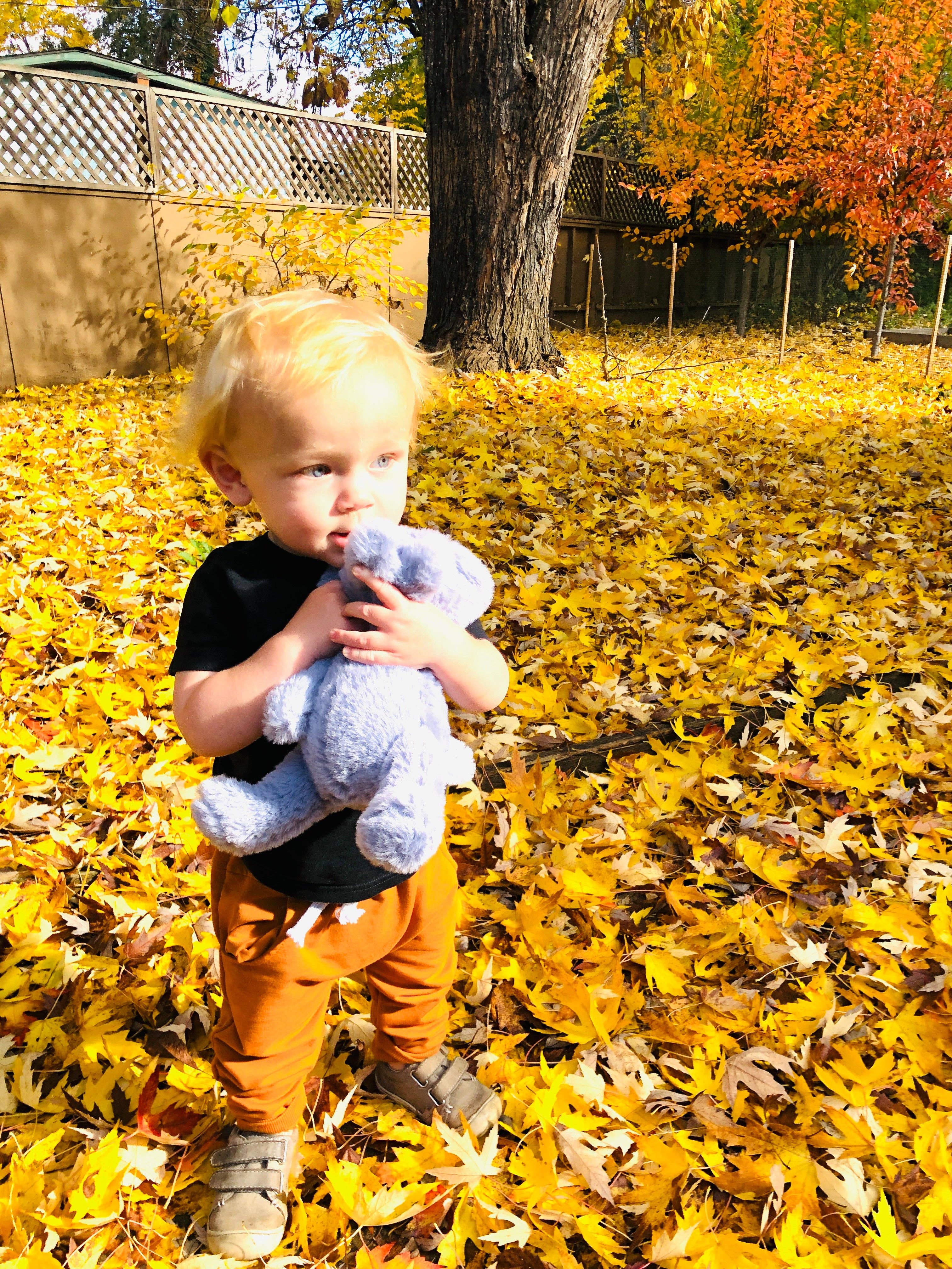 Firefly Delights LLC - Wholesale Stuffed/Plush Toy - Kids & Baby - Elephant Plush Toy1