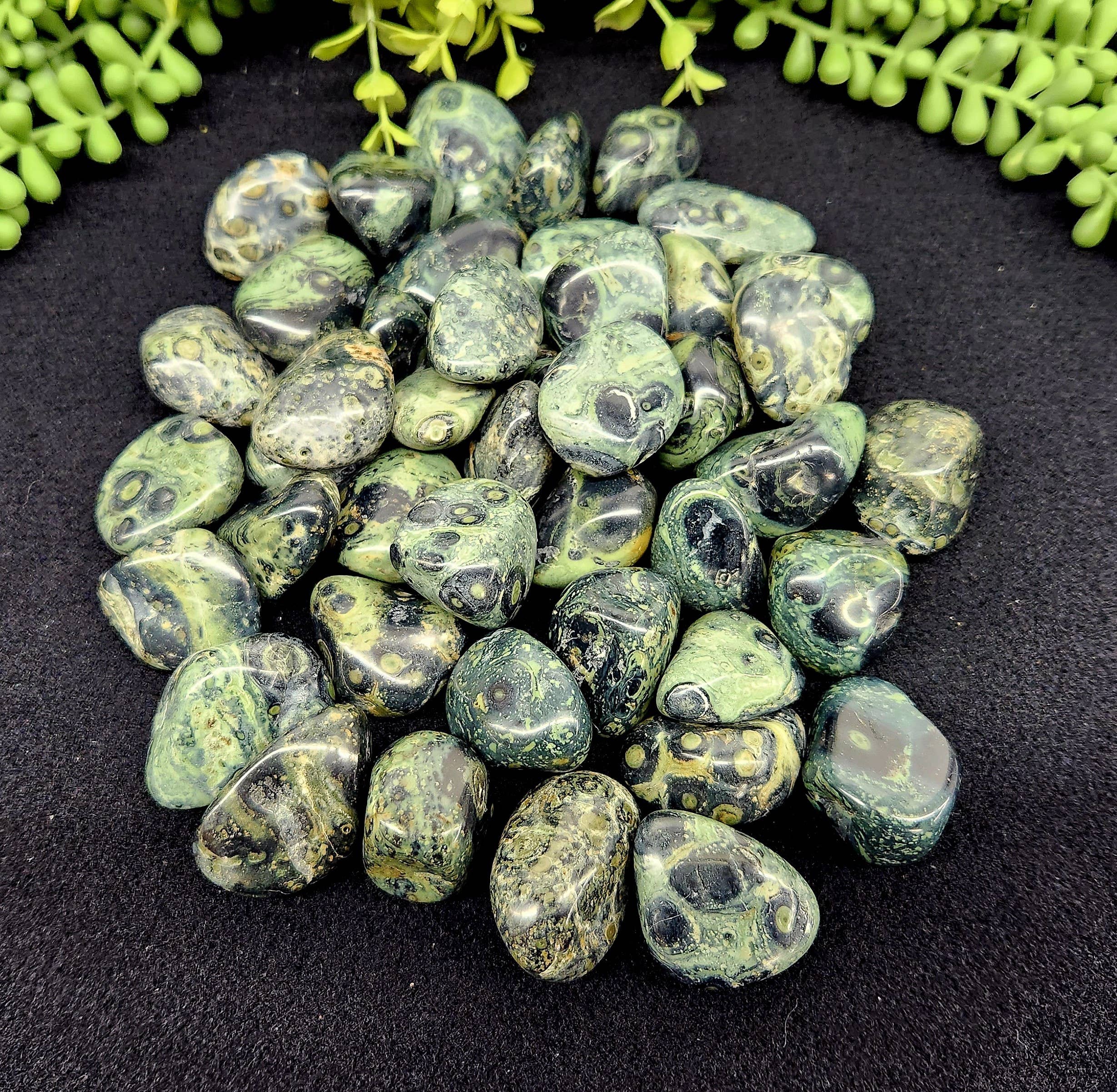 Meraki Gemstones - Wholesale Spiritual Stone/Crystal - Kambaba Jasper (1kg/2.2 lbs.) Tumbled Approx. 30-35mm2