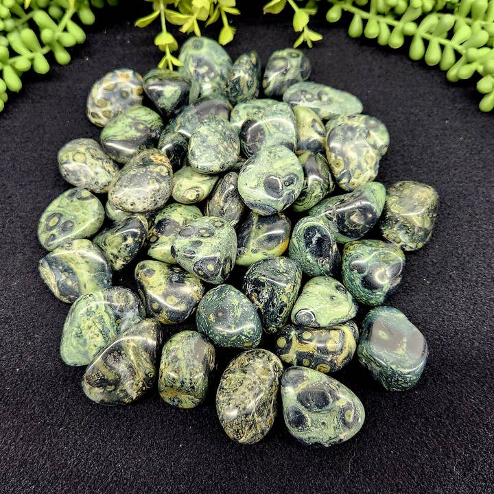 Meraki Gemstones - Wholesale Spiritual Stone/Crystal - Kambaba Jasper (1kg/2.2 lbs.) Tumbled Approx. 30-35mm2