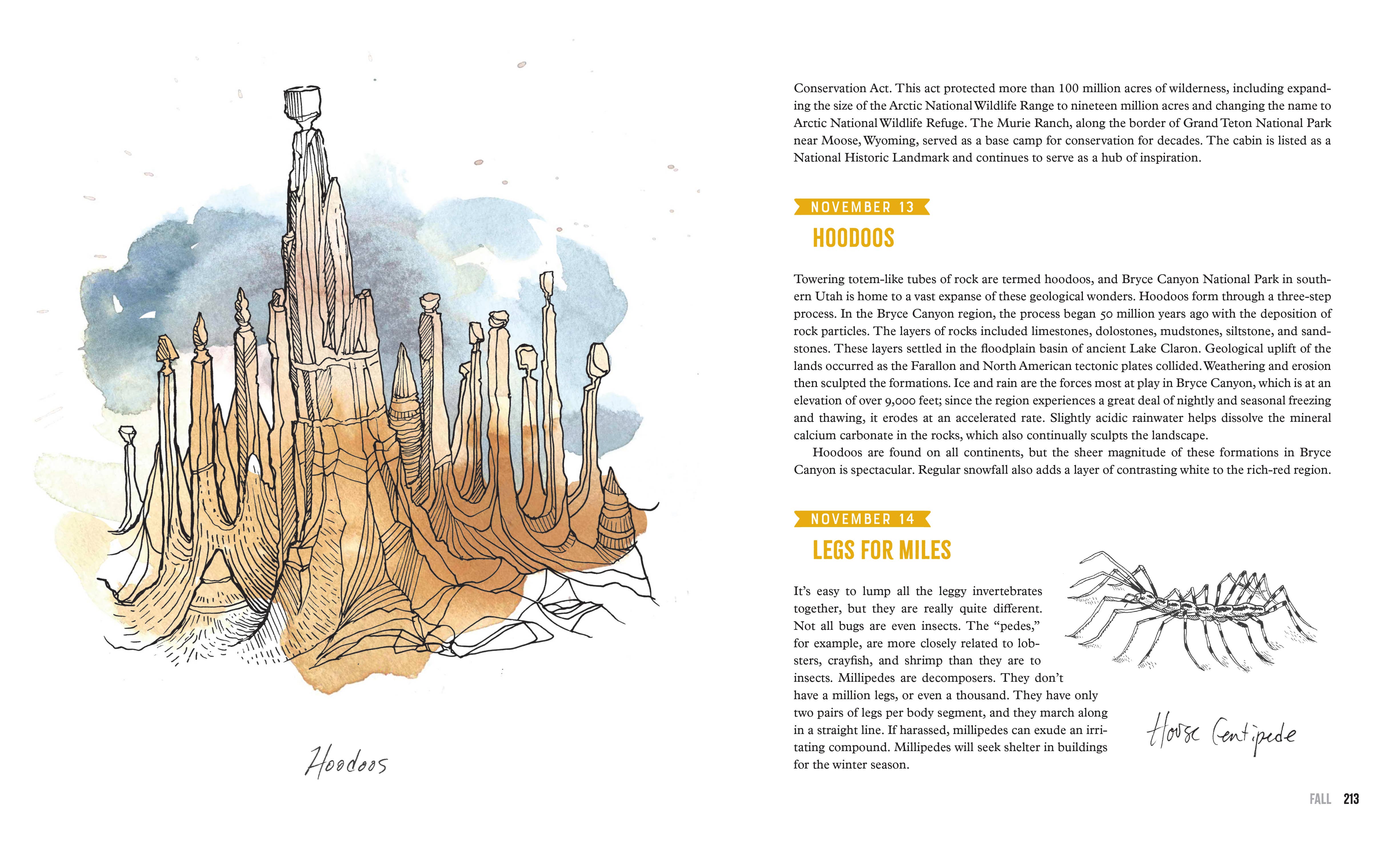 Mountaineers Books - Wholesale Nature & Outdoors Book - Earth Almanac5